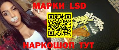 индика Славгород