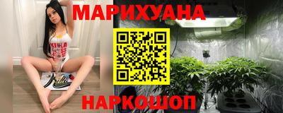индика Славгород