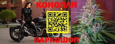 индика Славгород