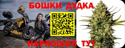 индика Славгород